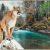 G8015-16 Tapis 4x6 Cougar