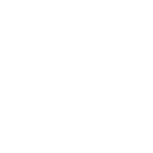 SDL Technologie logo