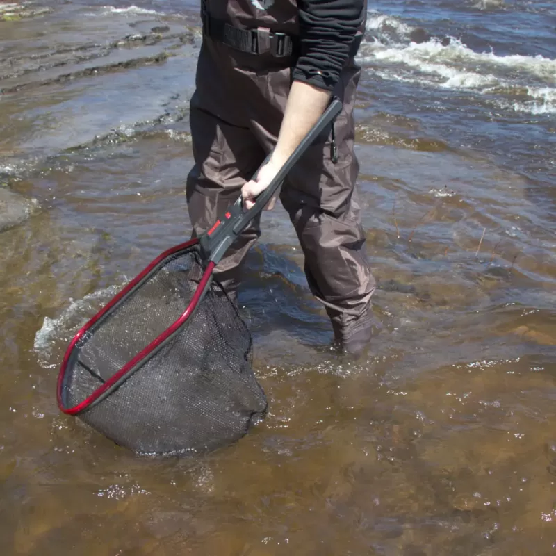 Capture d'un poisson avec l'épuisette pliante DREAMCATCH – G3100