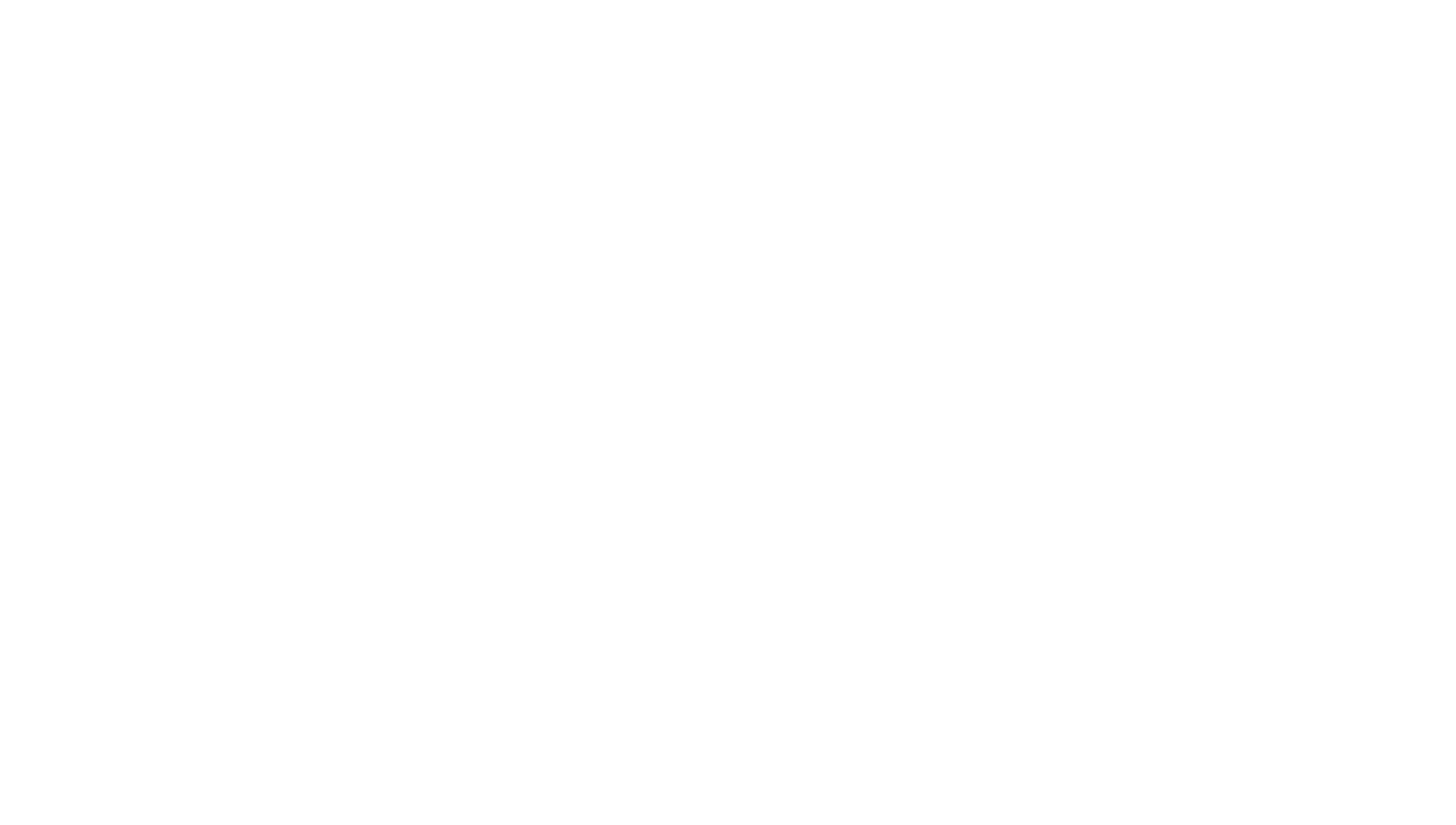 carbon fiber logo