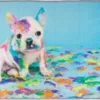 G8011-27 2x3 carpet Bulldog puppy plays with paint