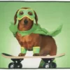 G8011-36 2x3 carpet Super hero dog on a skateboard