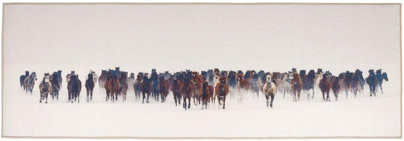 G8013-31 Herd of horses