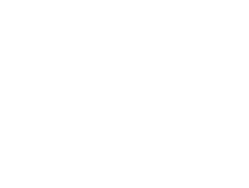 Logo PRIMALOFT BLANC