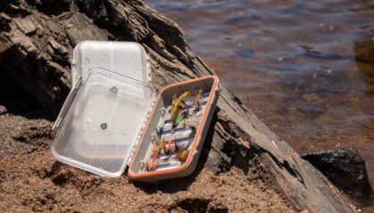 G3411, G3413 - Boîtes à mouches simples, placées sur un sol sablonneux près d'un cours d'eau